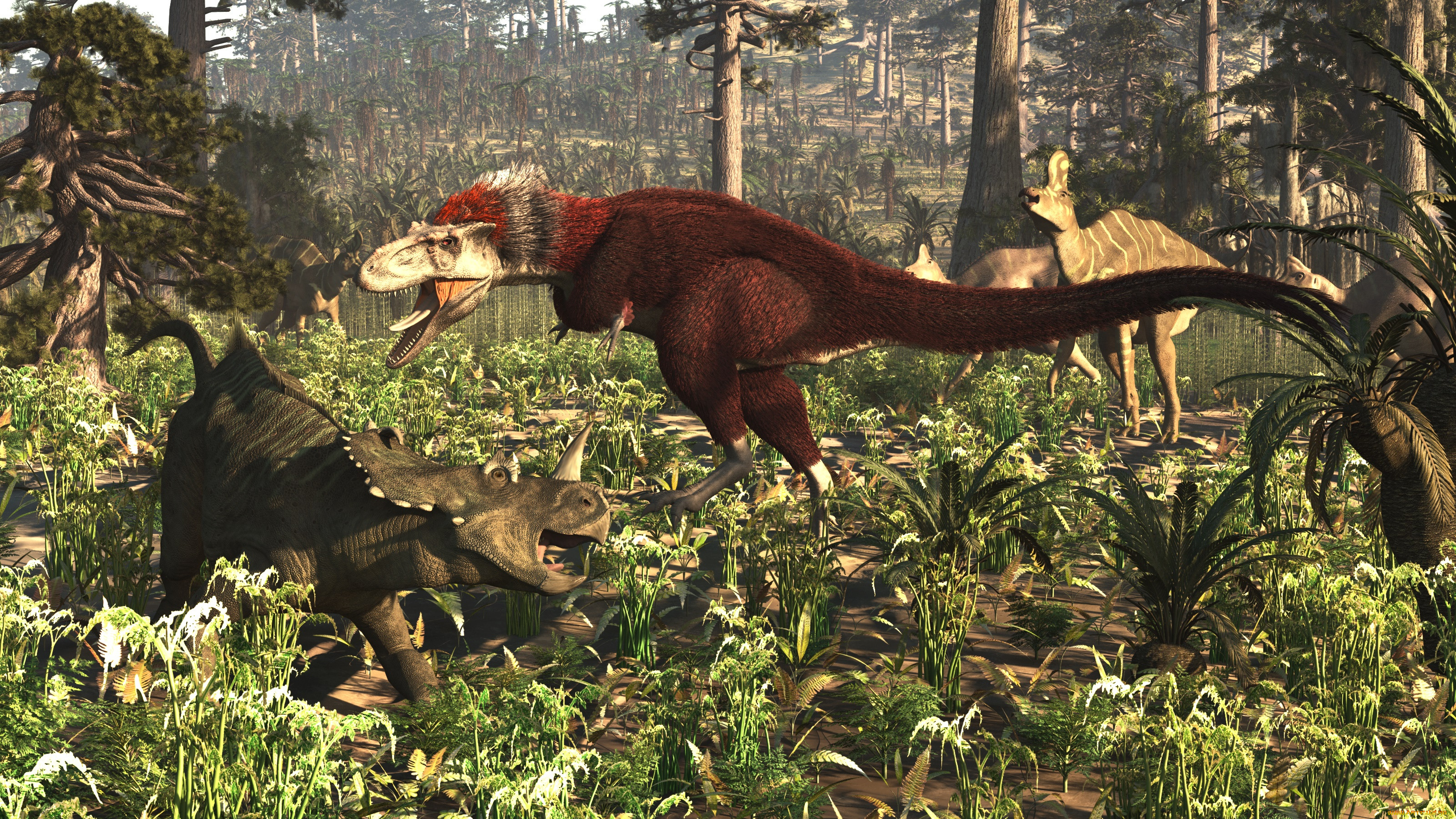 3 ,  , animals, , 
